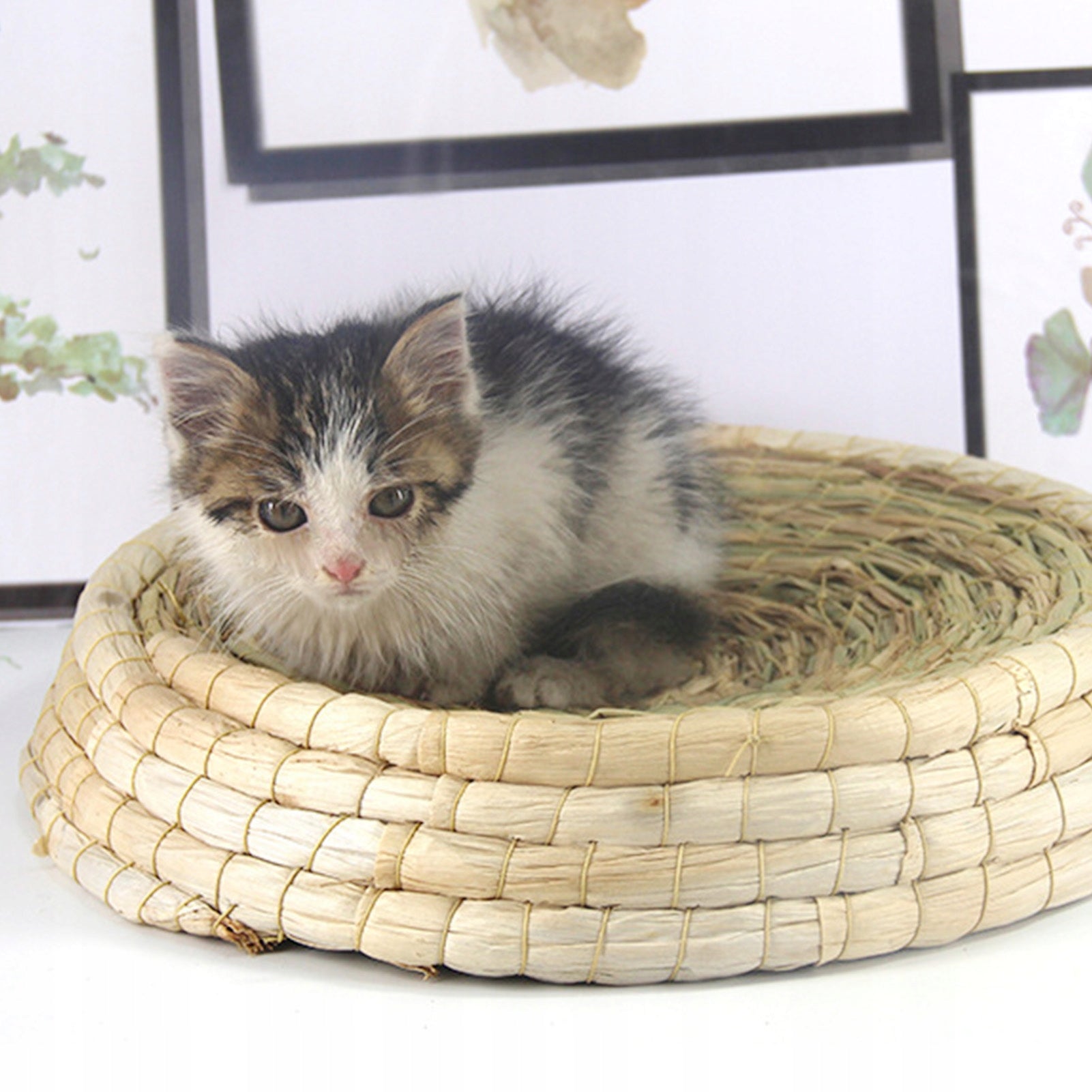 BED CHEST COTTAGE BEDDING FOR CAT 45CM Color yellow