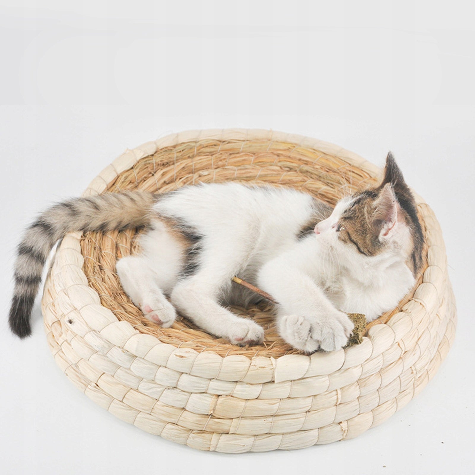 BED CHEST COTTAGE BEDDING FOR CAT 45CM