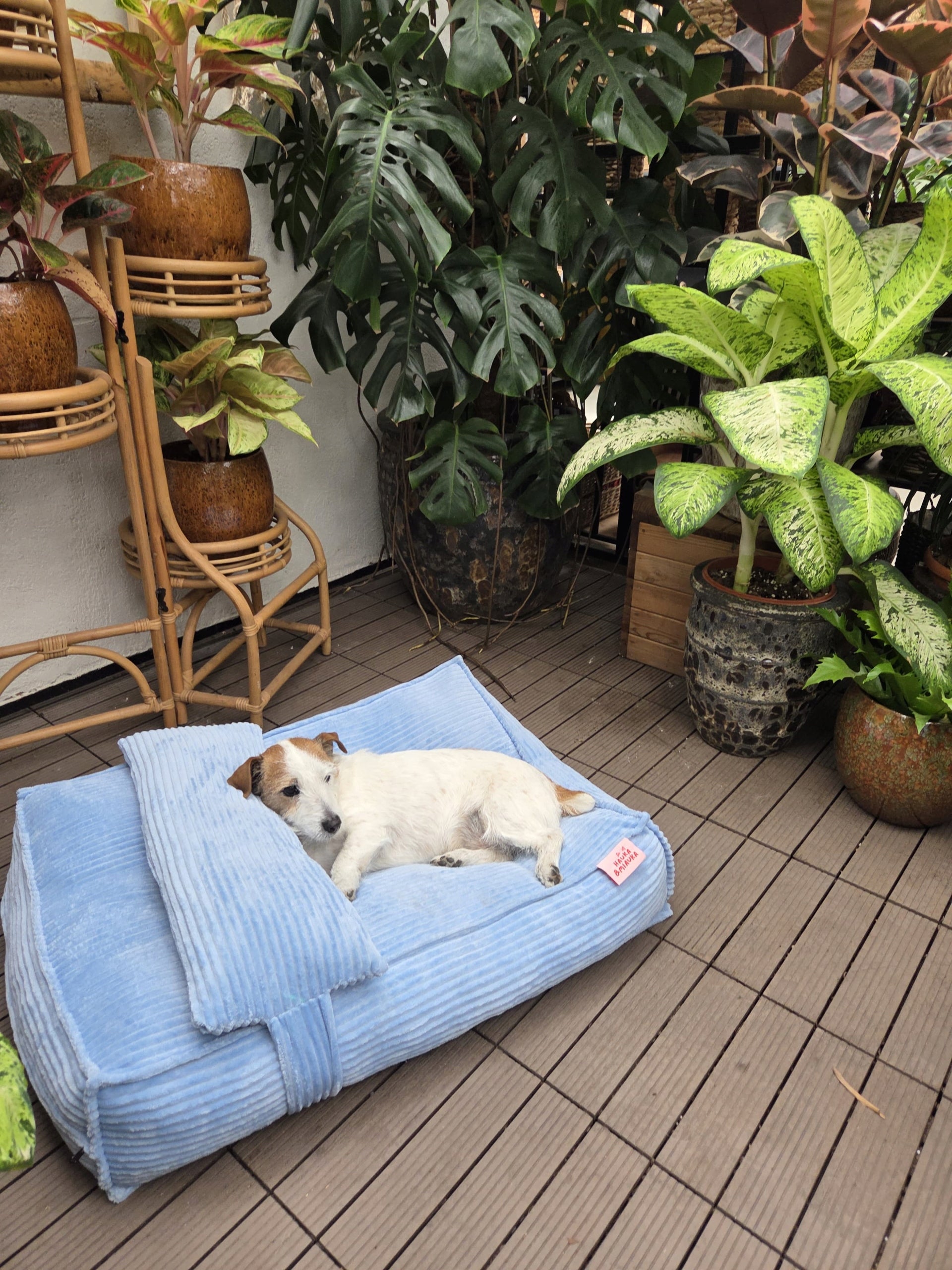 BED Waterproof Cat Dog Bed COUCH 80x60 Mattress Pillow Brand no brand