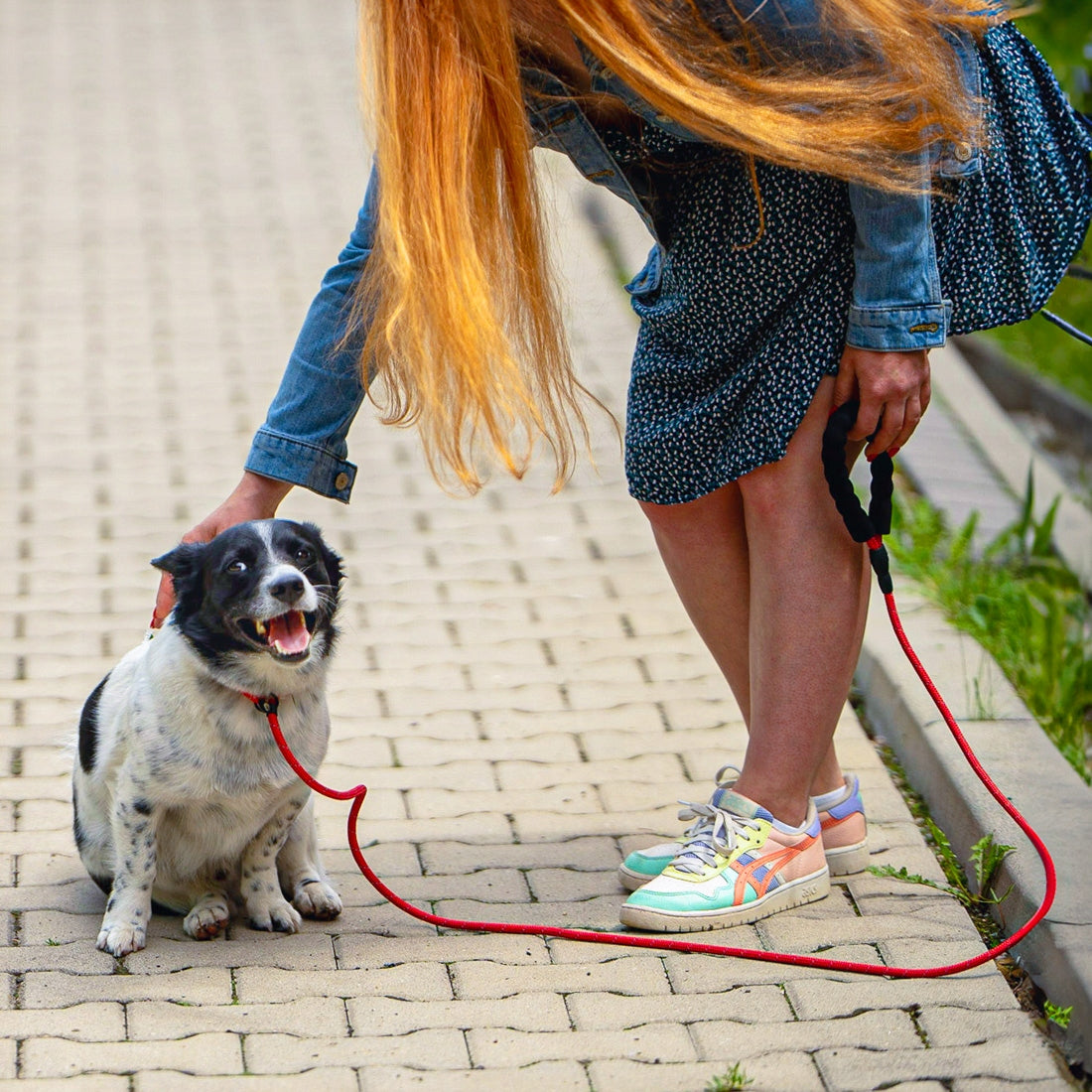 BEHAVIORAL LEASH FOR DOG WITH ANTI-PRESSURE LOCK RAGI 2,2 m, ø 12 mm Kind slip leash