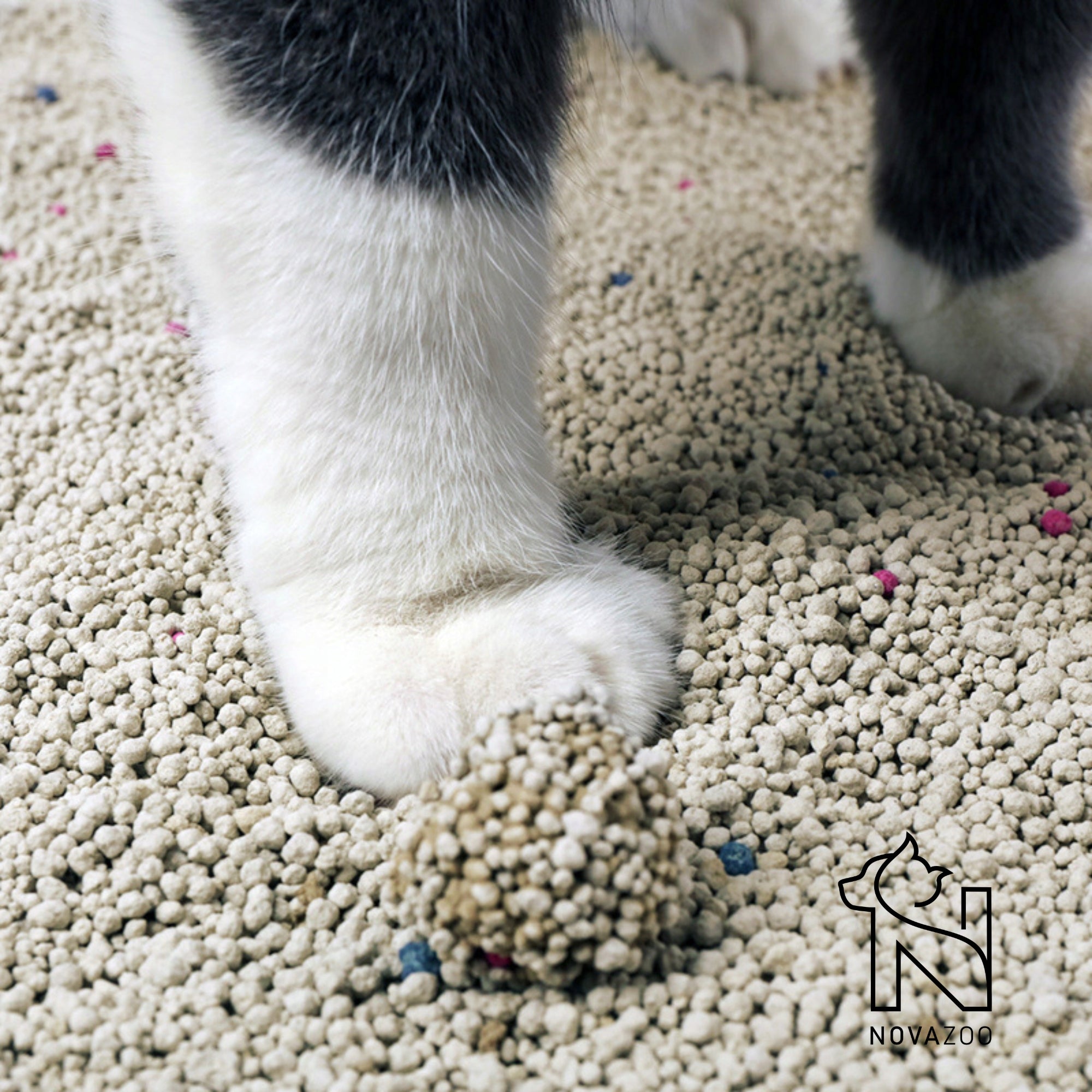BENTONITE CAT LITTER 20L UNSCENTED CLUMPING DUST-FREE NATURAL Kind bentonite