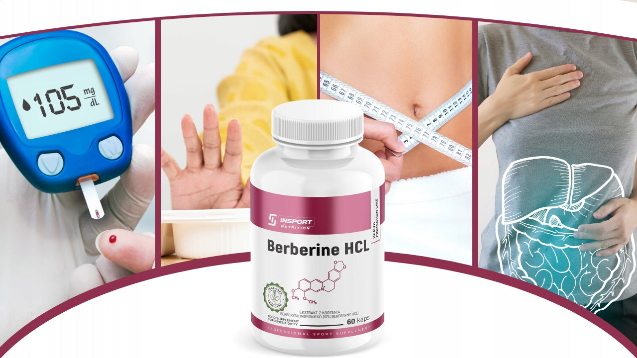 BERBERINE HCL 500mg 60 kap PURE DIGESTION DIABETES WEIGHT LOSS | INSPORT Brand Insport Nutrition