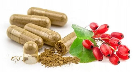 BERBERINE Sulfate HCL 400 mg 99% Extract - Glucose Weight Loss Sugar Packaging status original