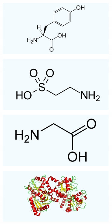 BESTLAB ThyroBest For Thyroid Hypothyroidism Inositol L-tyrosine Best Lab Name other