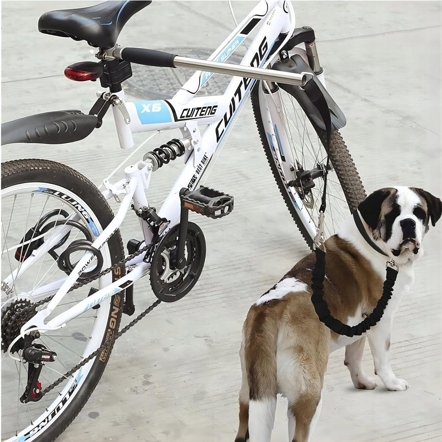 BICYCLE LEASH WITH BOOM BICYCLE TOW FOR DOG + SHOCK ABSORBER BAR Packaging status original