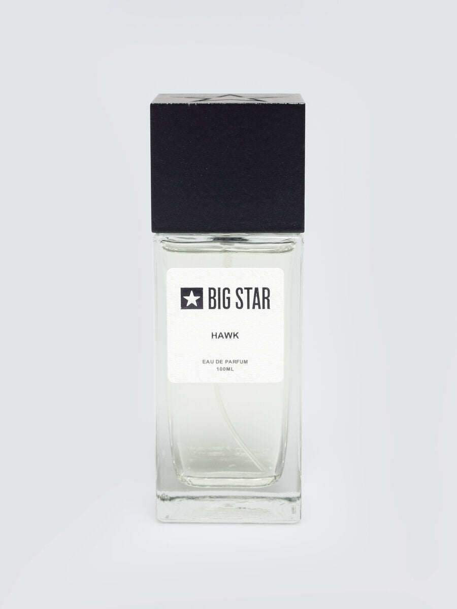 BIG STAR EAU DE PARFUM FOR MEN HAWK 100 ML 100ML