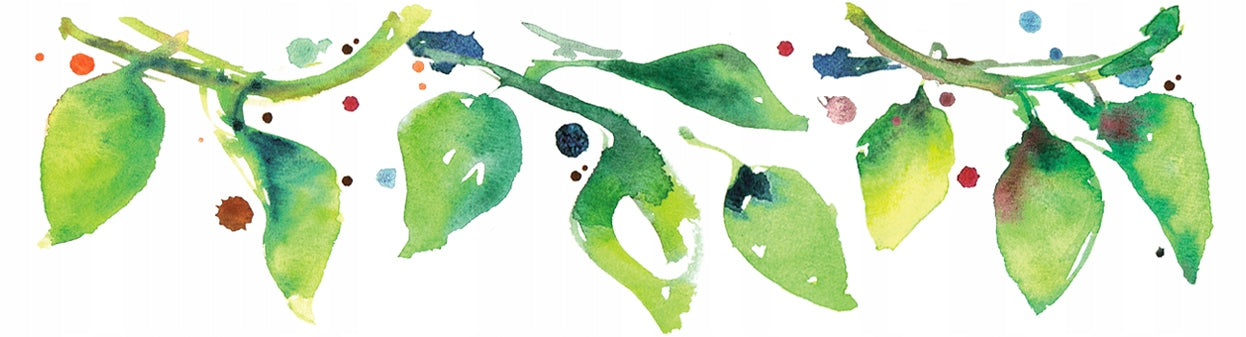BIO Tea for children Respiratory routes CHAMOMILE express 20T Apotheke Brand Apotheke