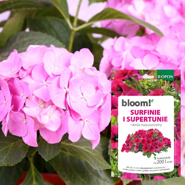 BIOPON BLOOM! Soluble Fertilizer for Surfinii Supertunii 200 g Concentrate Form granules