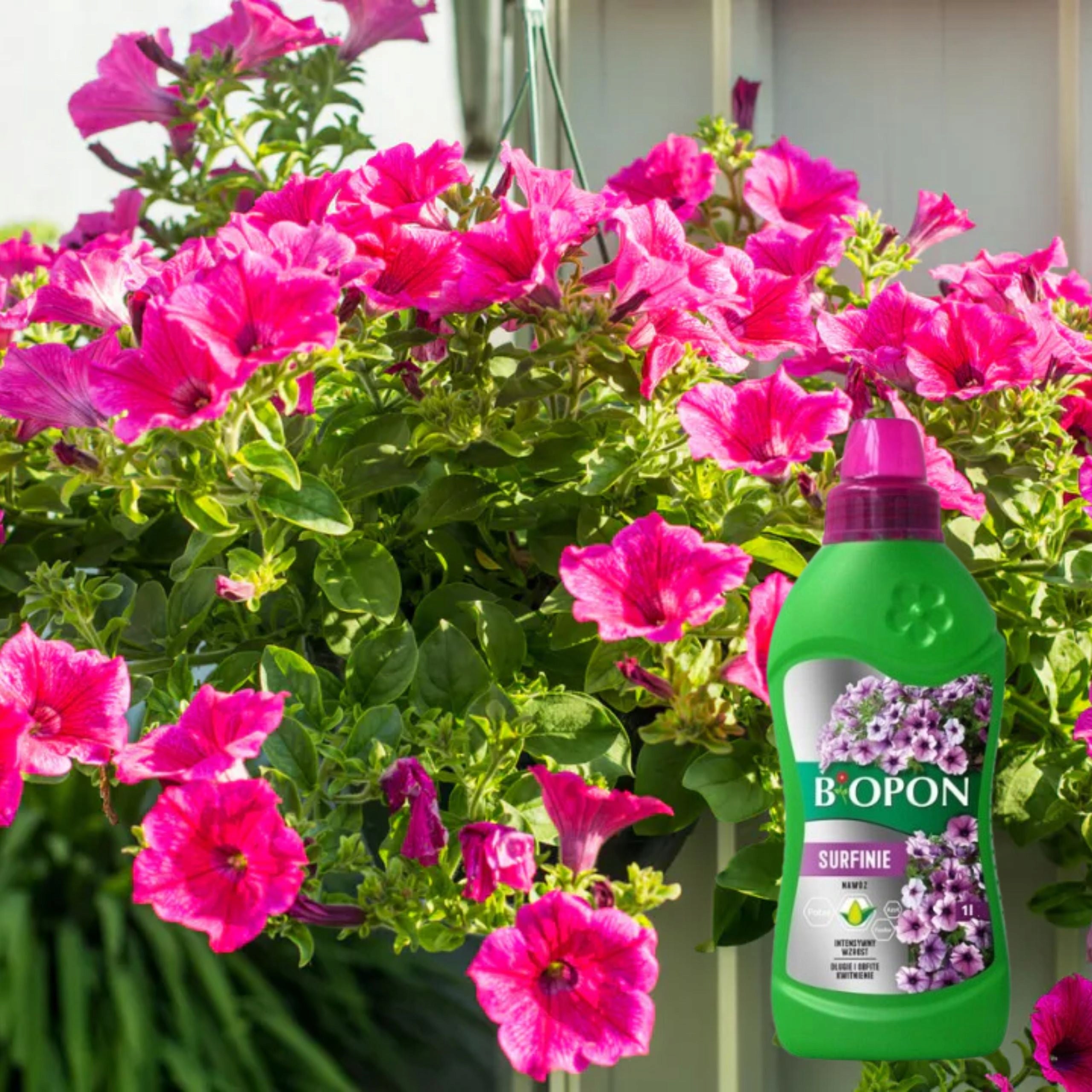BIOPON FERTILIZER FOR SURFINII 1L LIQUID LONG ABUNDANT FLOWERING GROWTH Manufacturer code 1018