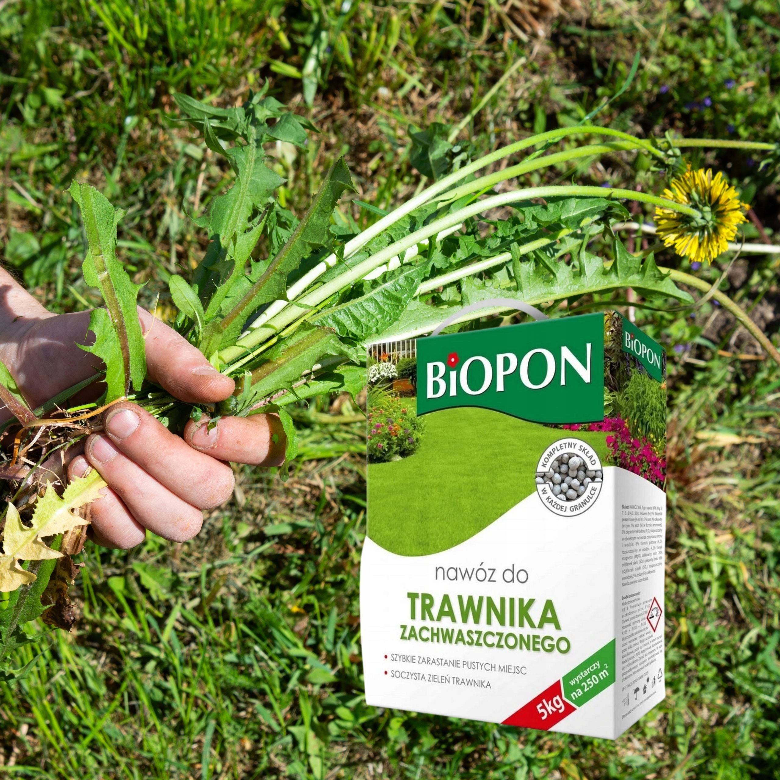 BIOPON FERTILIZER FOR WEEDED LAWN GRANULES 5KG ELIMINATES WEEDS Manufacturer Bros