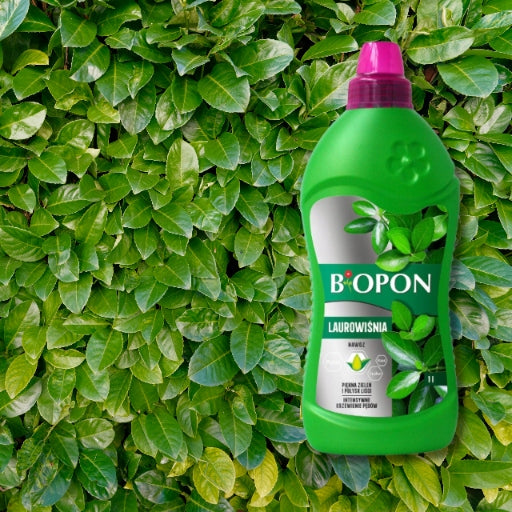 BIOPON Fertilizer for Laurels Beautiful Green Intensive Propagation Shoots 1L EAN (GTIN) 5904517403260