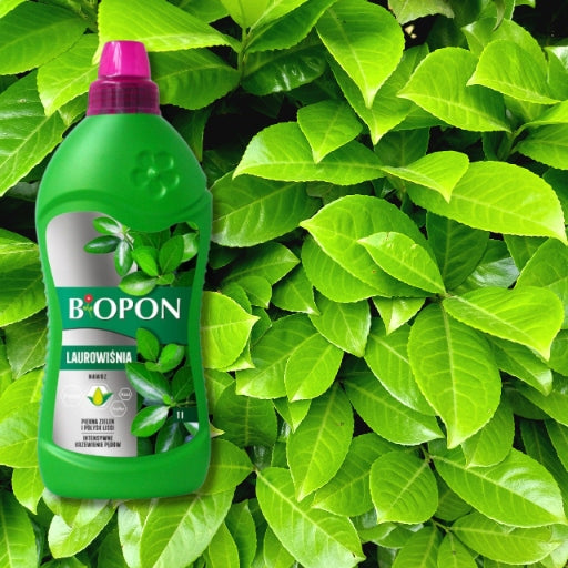 BIOPON Fertilizer for Laurels Beautiful Green Intensive Propagation Shoots 1L Manufacturer code 5904517403260