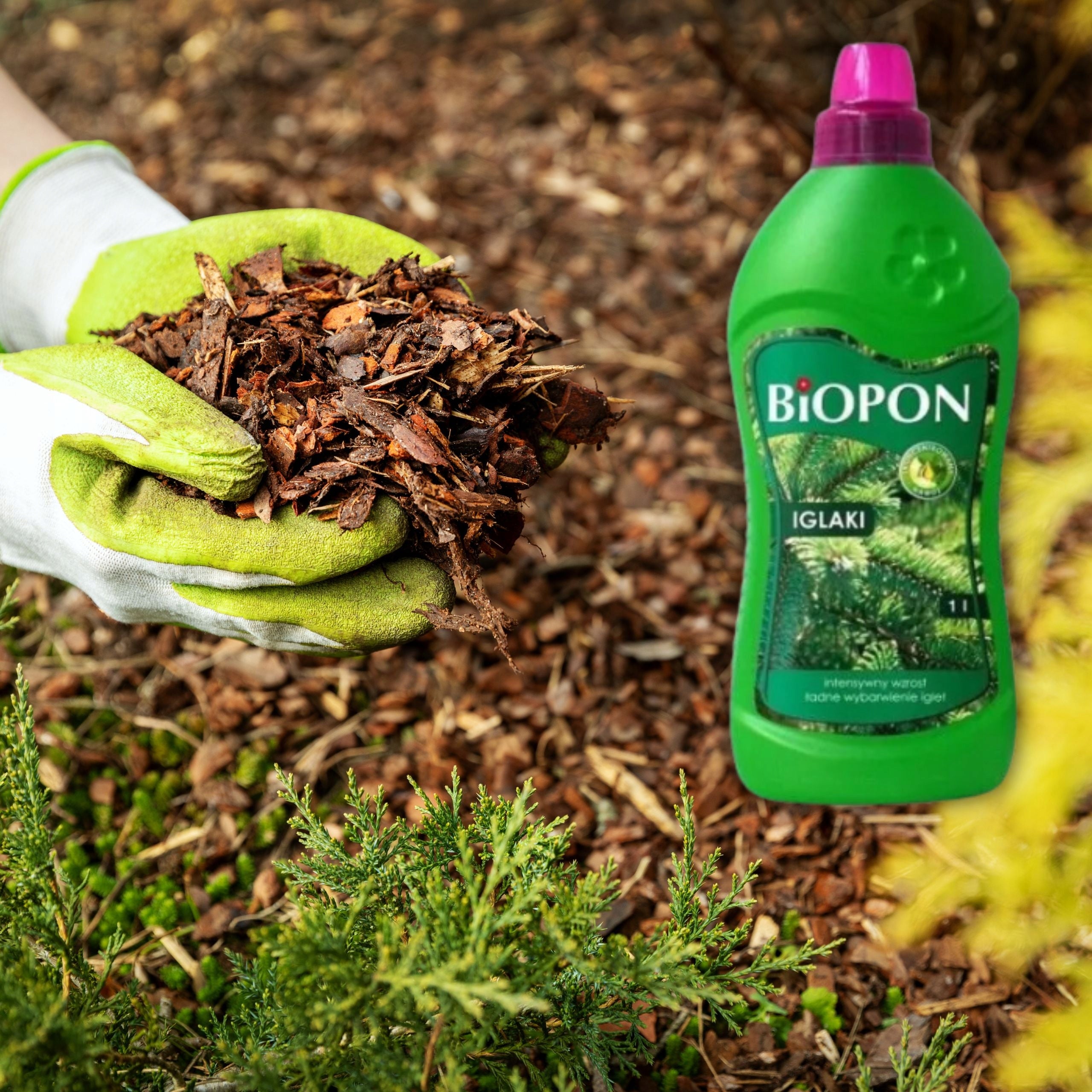 BIOPON LIQUID CONIFERS FERTILIZER 1L INTENSIVE GROWTH NEEDLE STAINING EAN (GTIN) 5904517008243