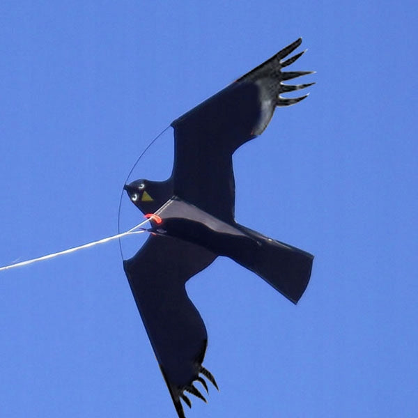 BIRD DETERRENT STARLINGS FALCON - PREMIUM -L- KITE 3 EAN (GTIN) 5905832179595