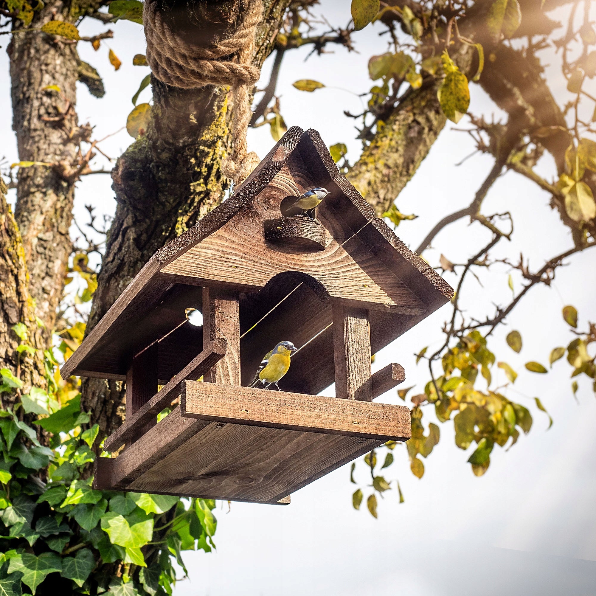 BIRD FEEDER LARGE PREMIUM WOODEN HANGING HOUSE BOOTH GIFT BROWN Packaging status original