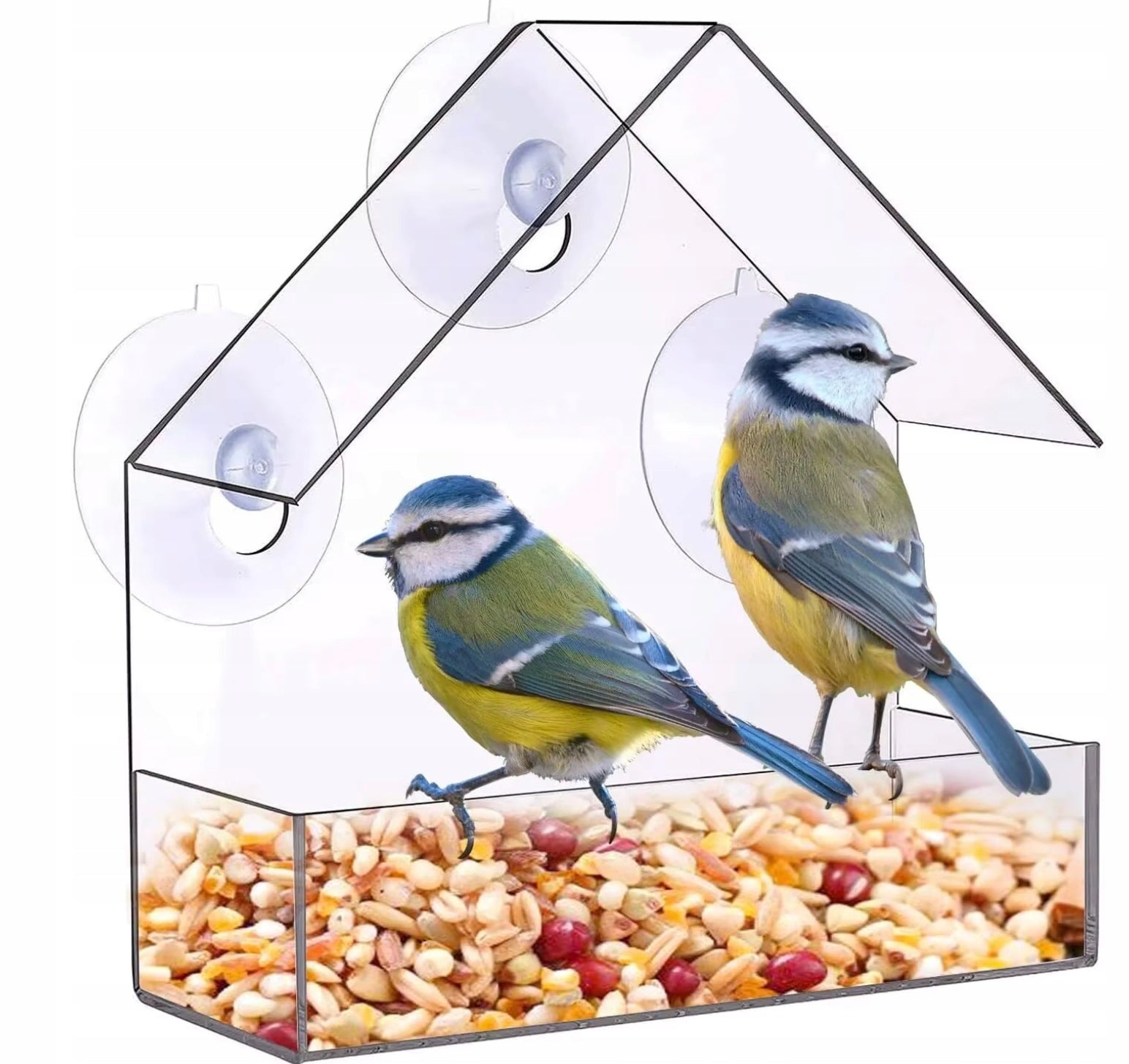 BIRD FEEDER TRANSPARENT GLASS WINDOW FOR SUNFLOWER SEED FOOD