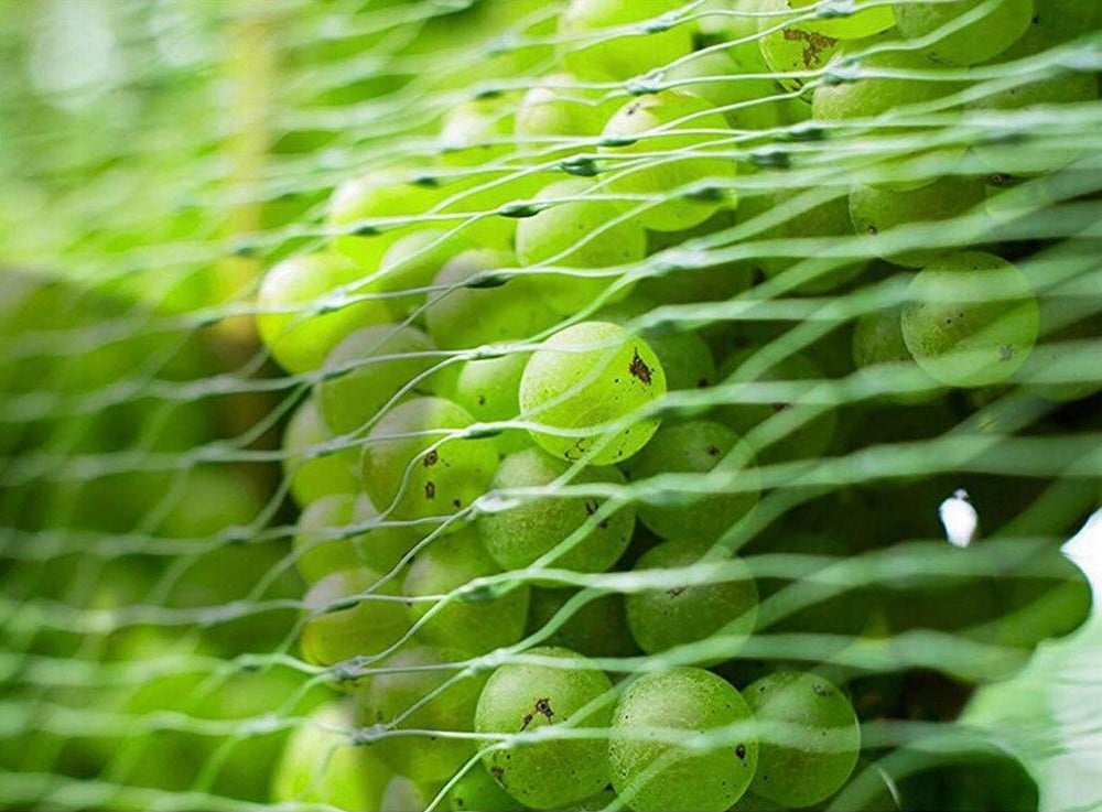 BIRD NET AGAINST BIRDS PROTECTIVE LARGE VERY POWERFUL UV FILTER 8x20m Kind mesh