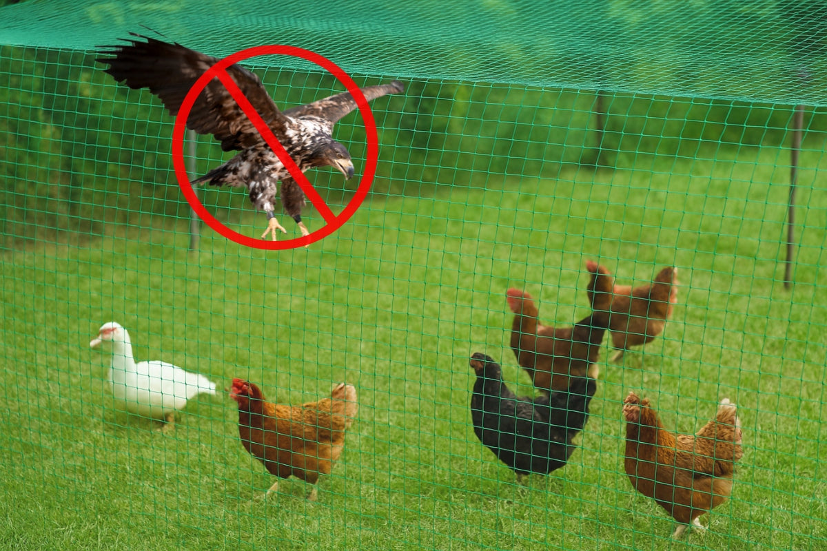 BIRD NET FOR STARLINGS CHICKENS 7,5m Strong Tree Protection for Trees 20g Brand Rolmarket