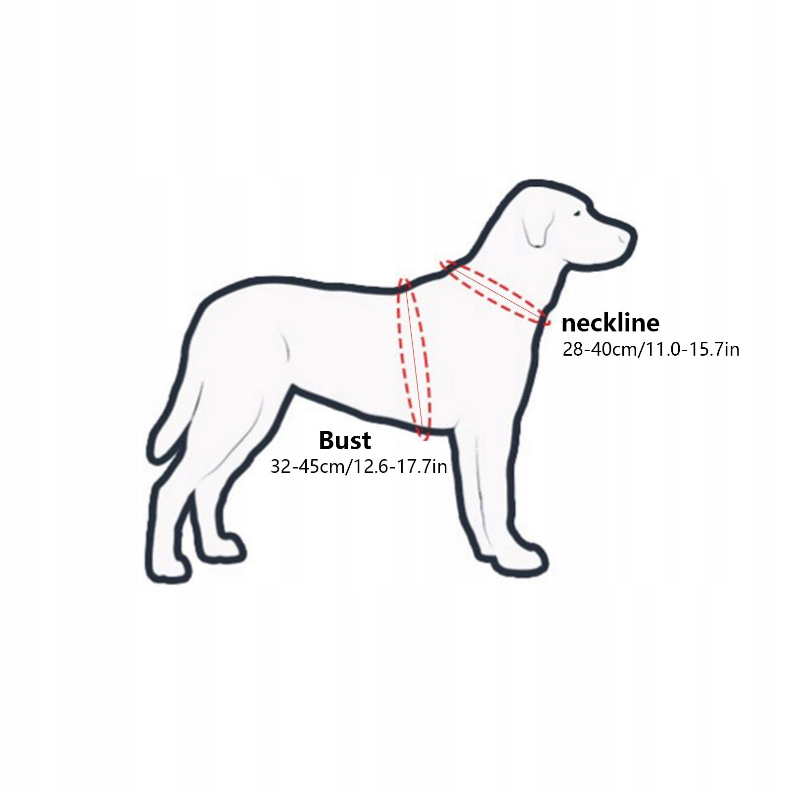 BLIND ANTI-COLLISION RING FOR PETS Dog size not specified