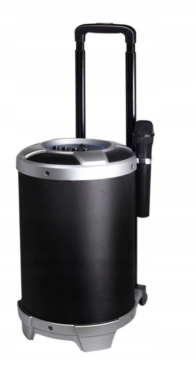 BLUETOOTH SPEAKER WITH SUBWOOFER USB AUX 24W Microphone