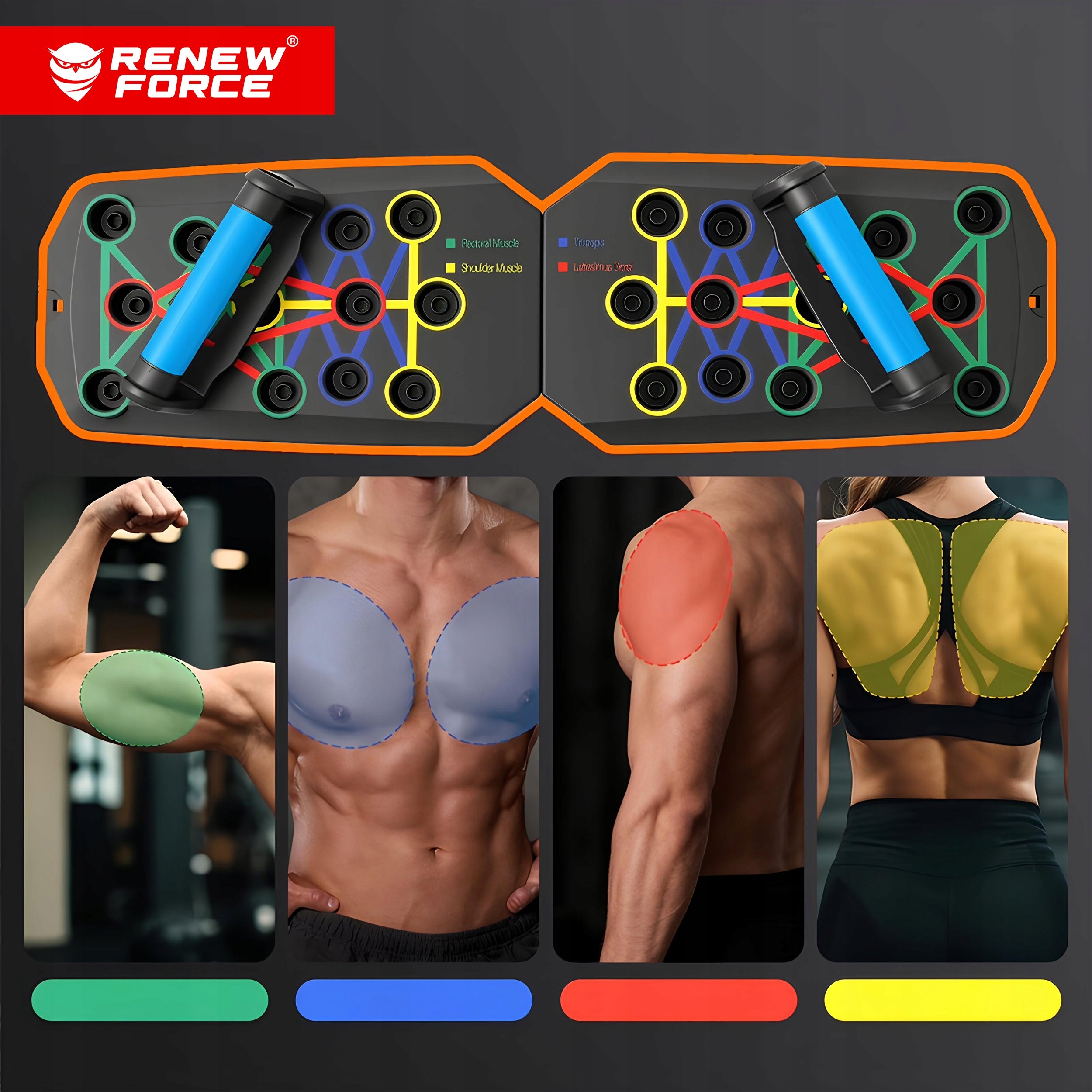 BOARD EXERCISE PUMP HOLDERS 28in1 PLATFORM PUSH UP BOARD MULTIFUNCTIONAL Packaging status original