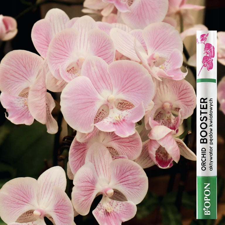 BOPON Orchid Booster Flower Shoot Activator for Flowers Product weight with unit packaging 0.026 kg