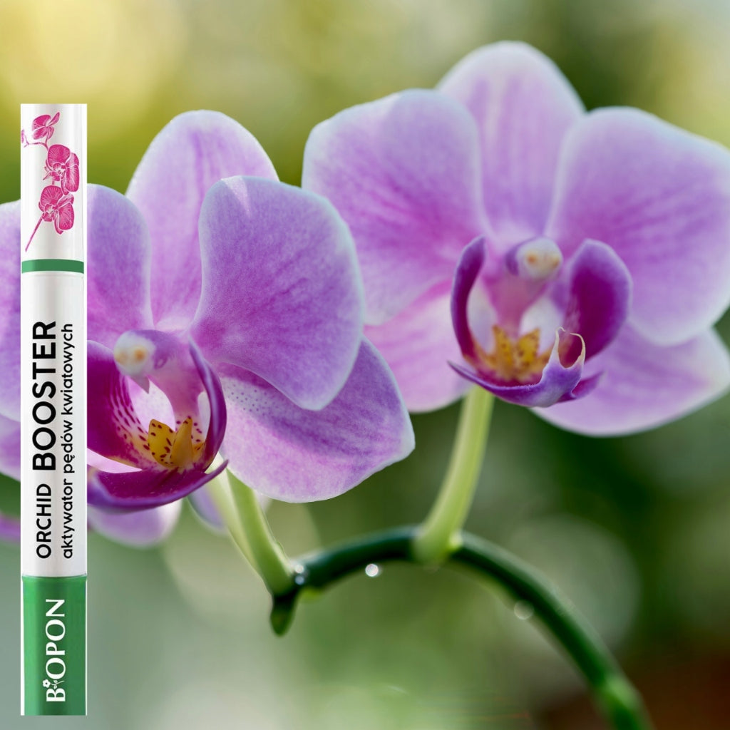 BOPON Orchid Booster Flower Shoot Activator for Flowers Volume 0.002 l