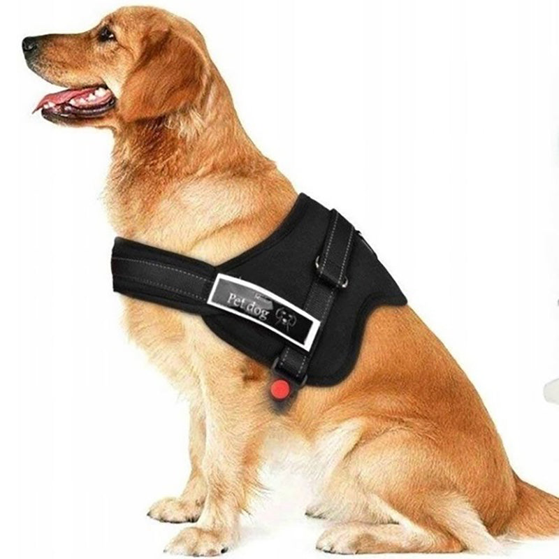 BRACES for dog PRESSURE-FREE SIZE L 67-88cm Kind walking harness