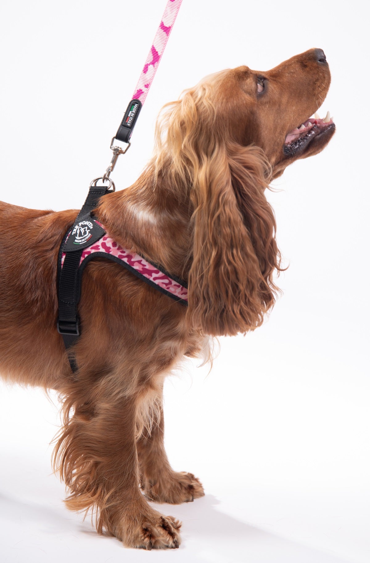 BRACES for dogs French Bulldog 54-69cm TRE PONTI camo pink size. 3,5 Manufacturer code R265CA
