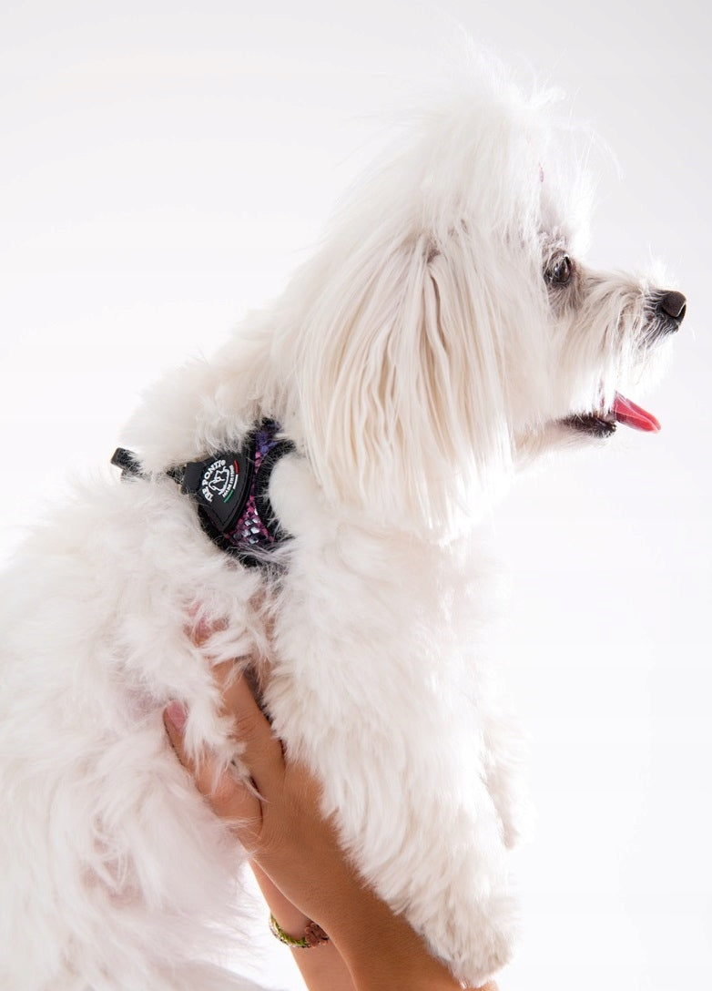 BRACES for mini dog Chihuahua York 25-35cm TRE PONTI Python LIGHT Italian EAN (GTIN) 8031430005916
