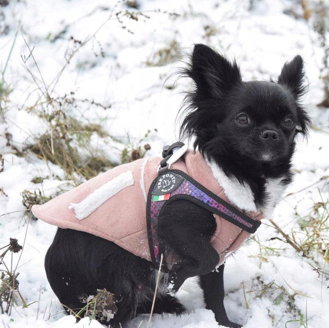 BRACES for mini dog Chihuahua York 25-35cm TRE PONTI Python LIGHT Italian Kind walking harness