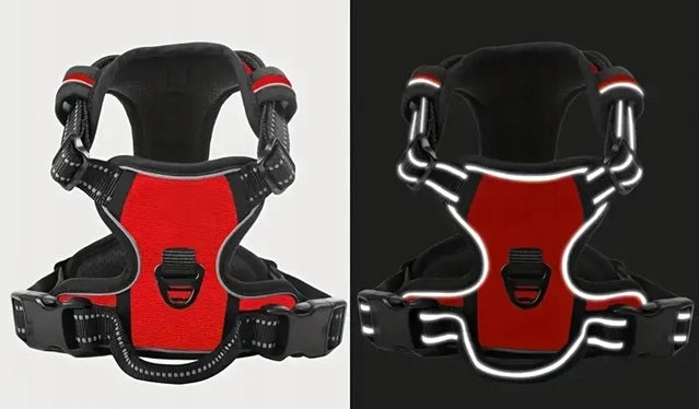 BRACES large dog PRESSURE-FREE red GUARD XL 53-96cm Golden Shepherd Color red