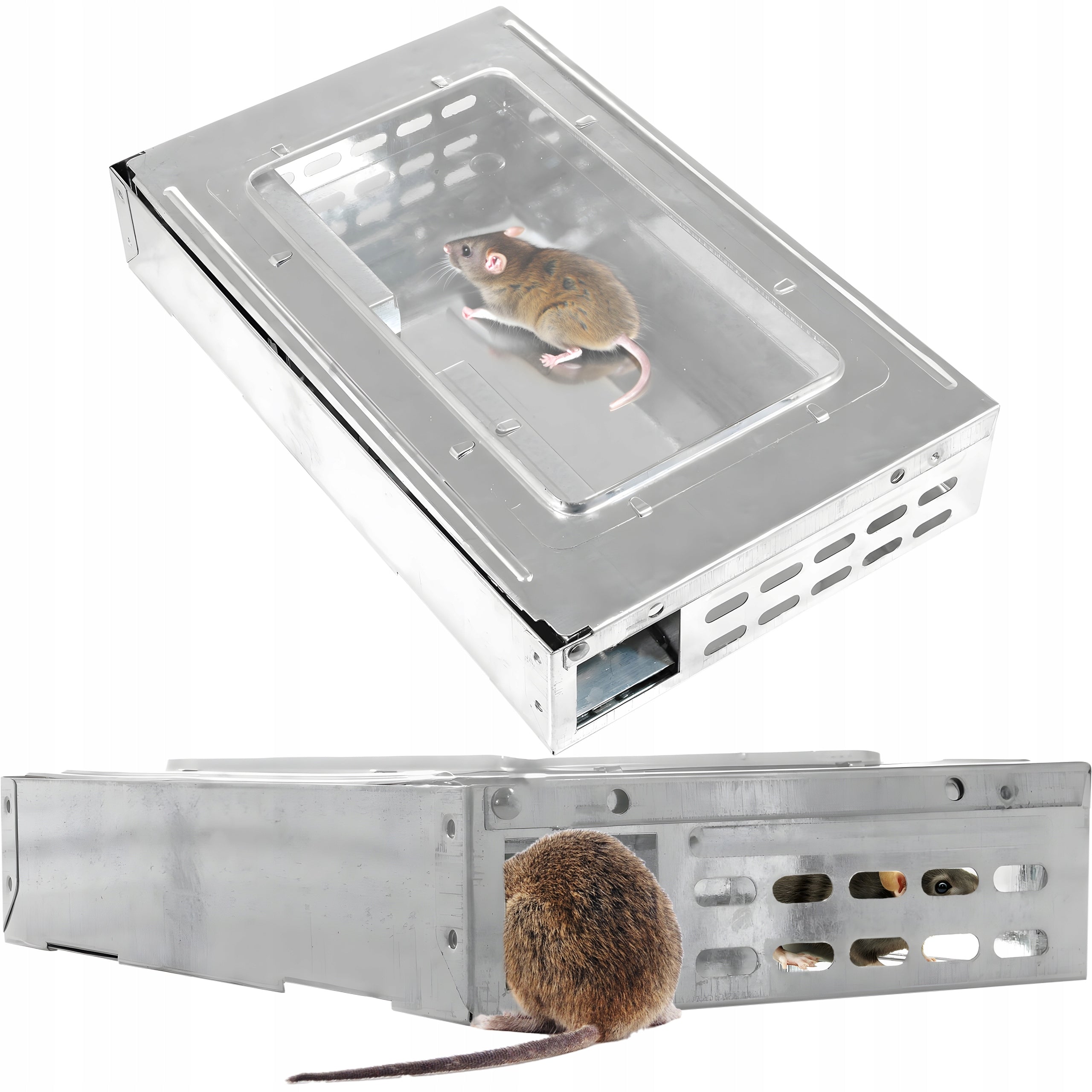 BREASTFEEDING LIVETRAP MOUSETRAP RATS GRIPPER HUMANITARIAN PAW Packaging status original