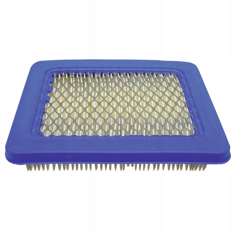 BRIGGS STRATTON 118550257/0 491588S 494245 399959 4101 Air Filter