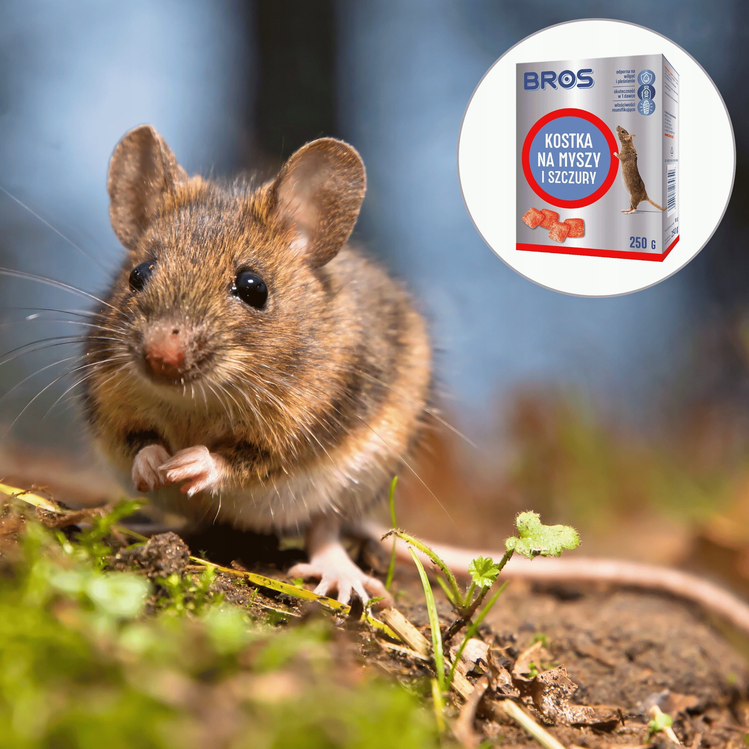 BROS CUBE FOR MICE AND RATS 250 G POISON EAN (GTIN) 5904517264649