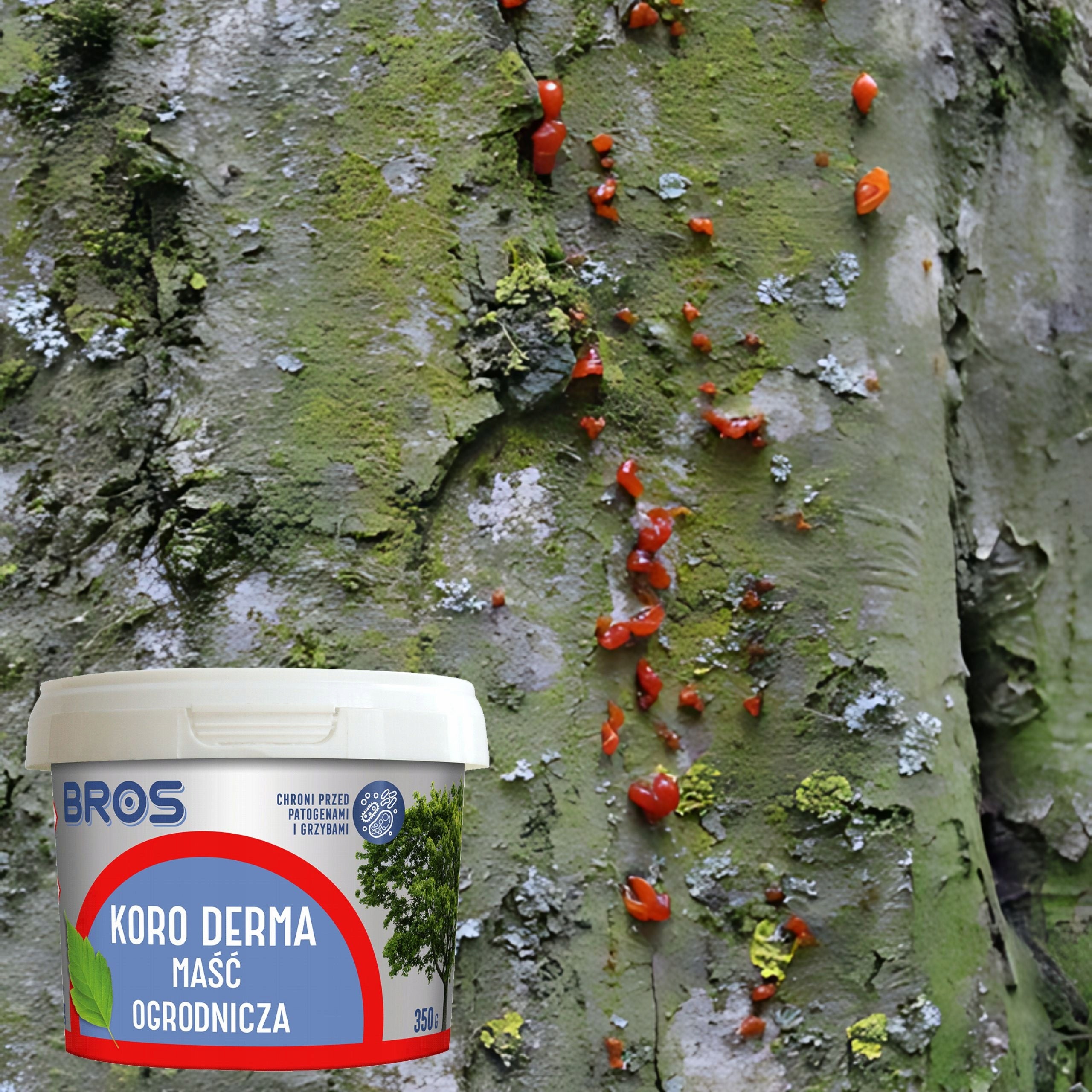 BROS KORO DERMA GARDEN OINTMENT FOR TREES AND SHRUBS ANTIFUNGAL 350G EAN (GTIN) 5904517004047