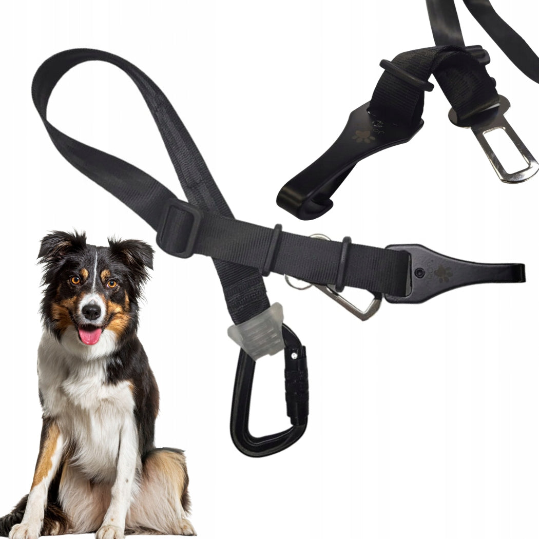 BUCKLE DOG CAR BELT SHORT JOQU ISOFIX DUO