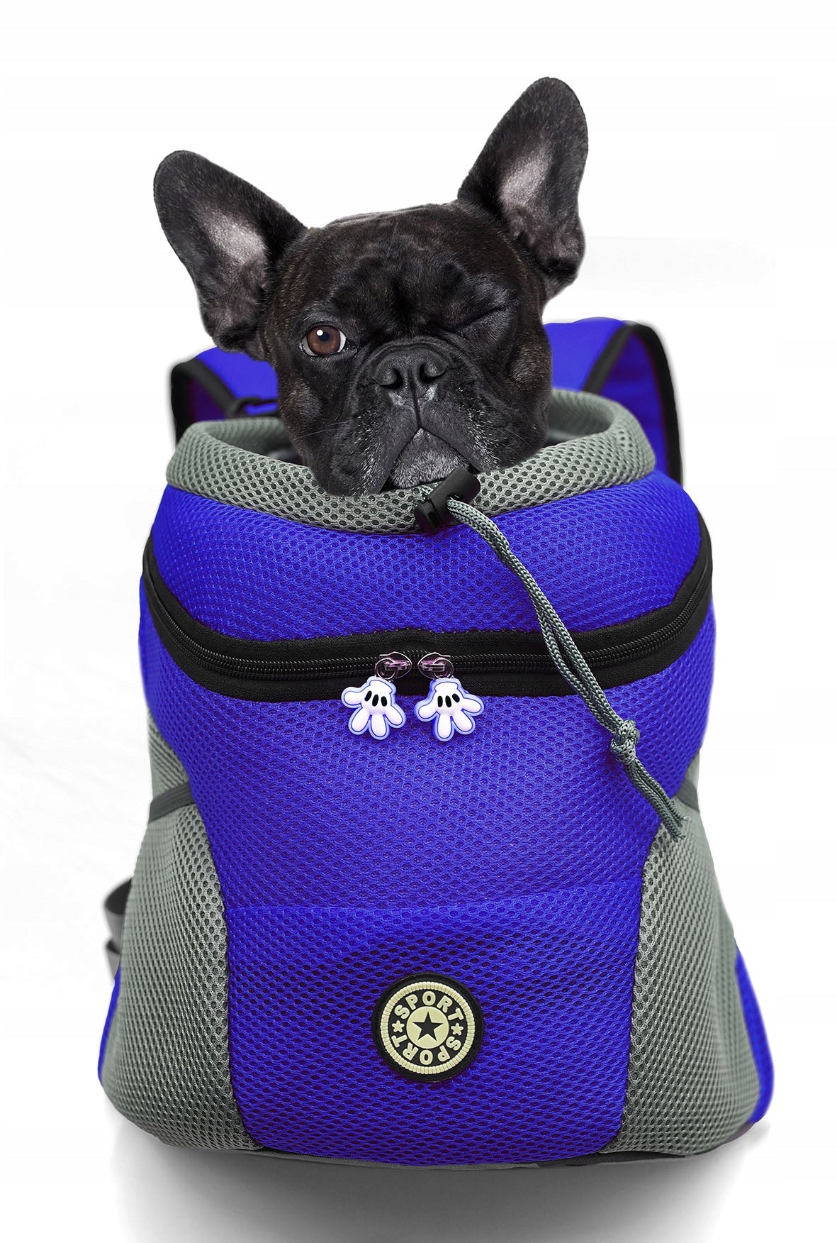 Backpack transporter for pet dog, travel bag
