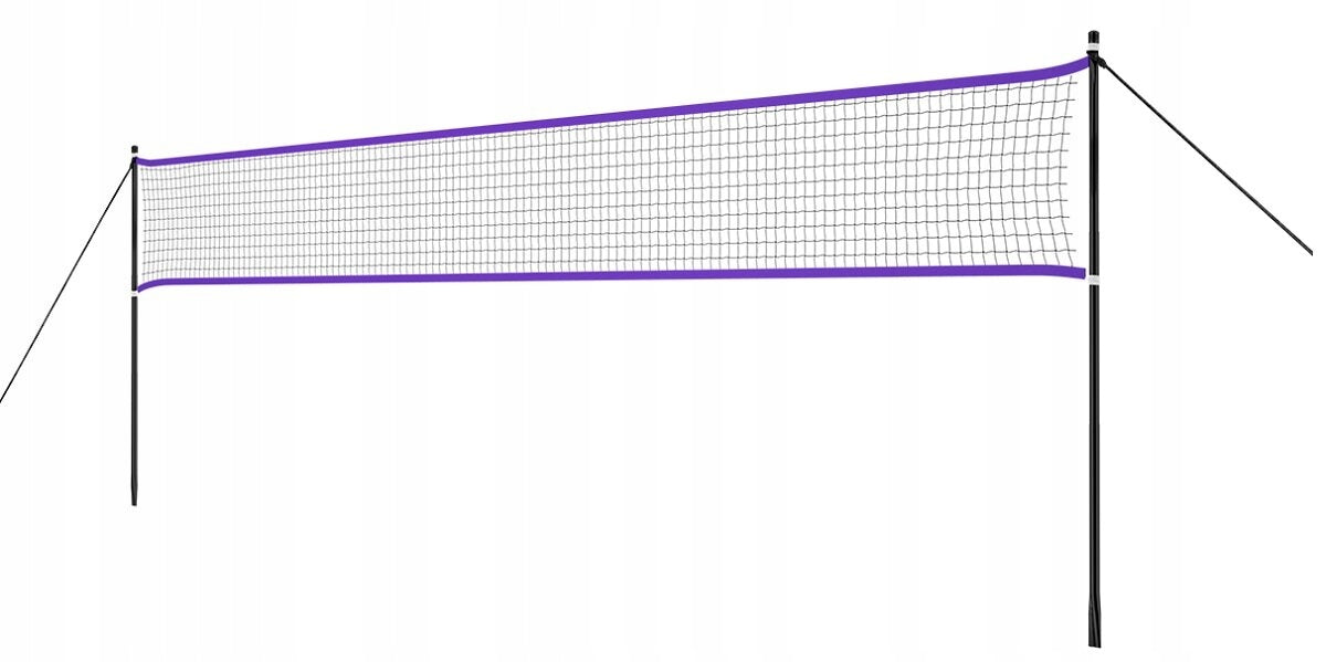 Badminton net NILS NT300 Brand Nils