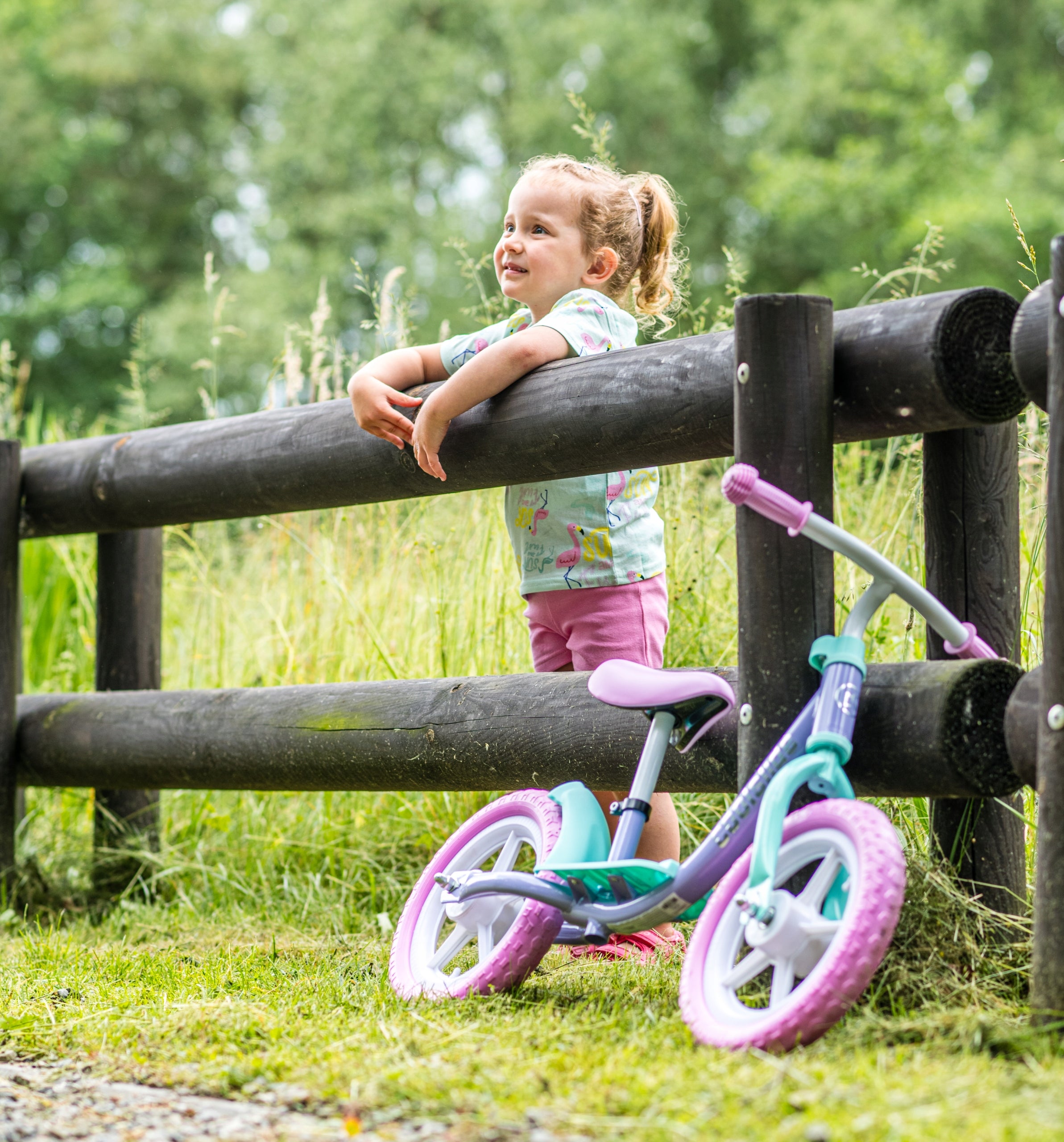 Balance bike RACE 4 Frame steel