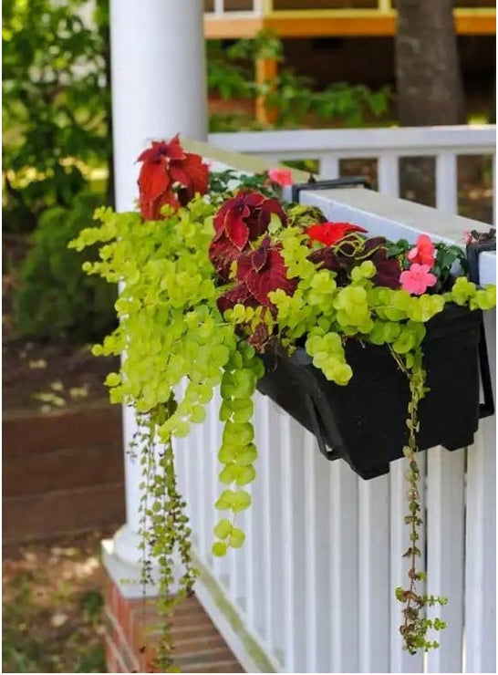 Balcony Box Hanger Pot Holder for Terrace Adjustable Metal Material metal