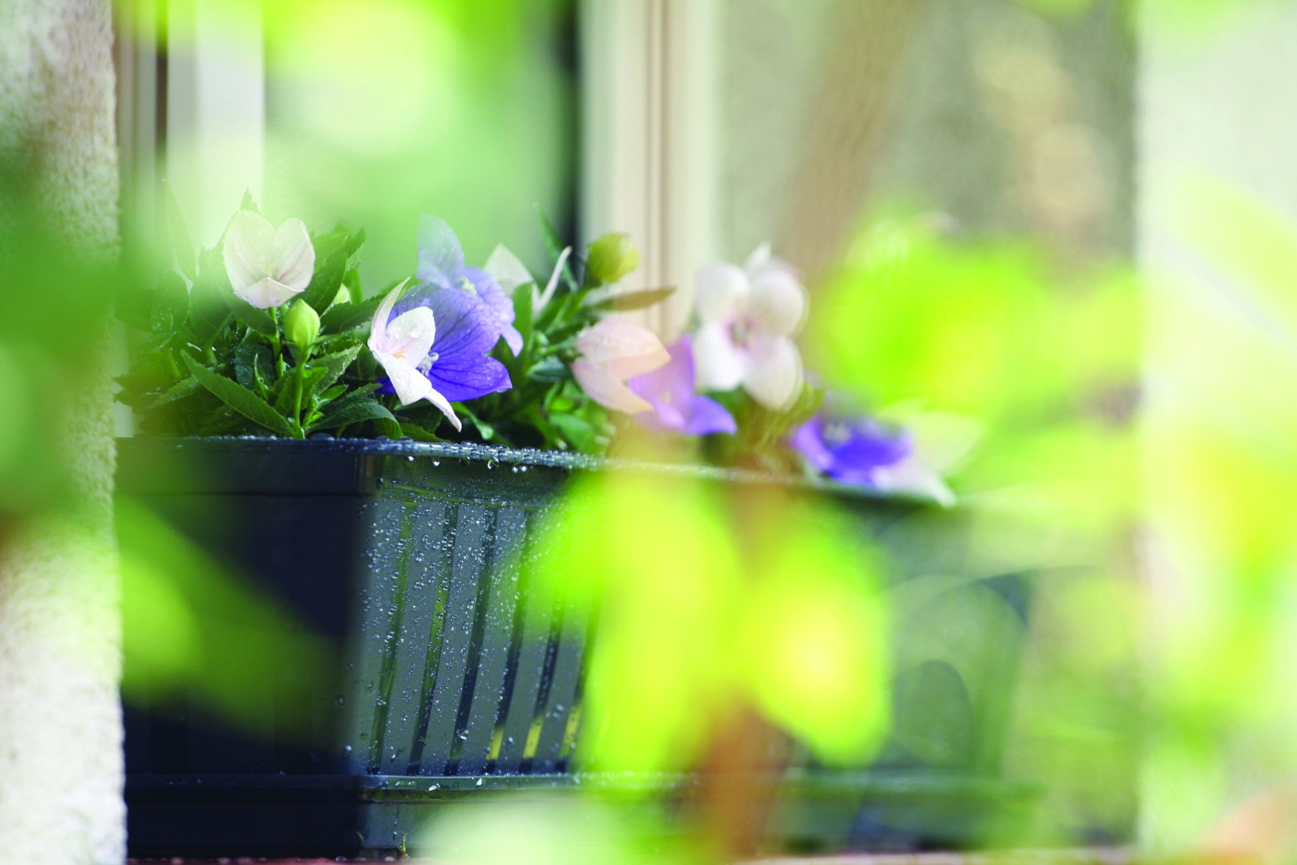 Balcony box AGRO IS500 Window sill pot Material synthetic material