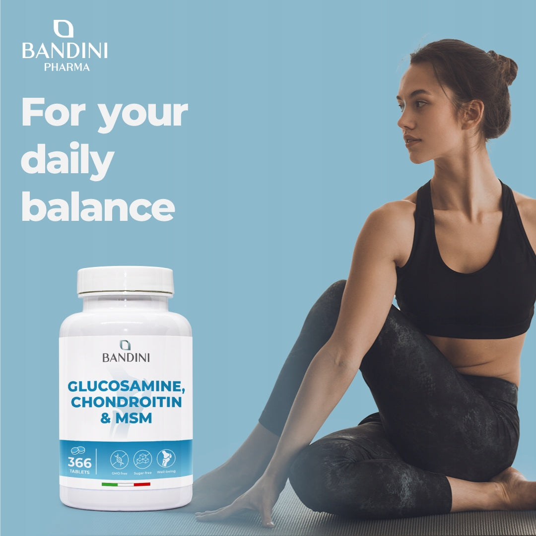 Bandini Glucosamine Chondroitin MSM | 366 Tablets for Joints and Cartilage Brand no brand