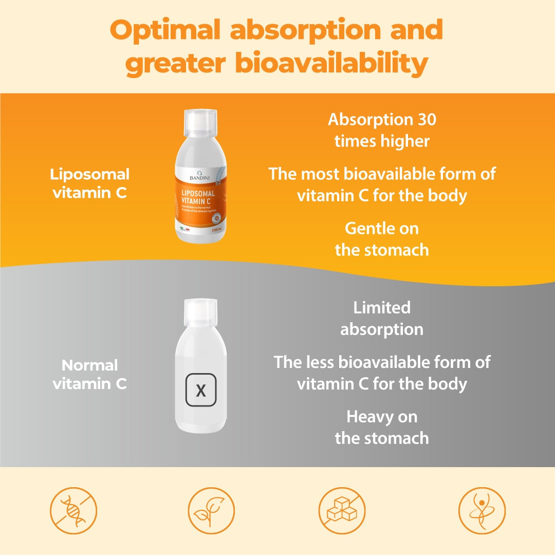 Bandini High-Dosage Liposomal Vitamin C 1000mg | 250ml | Immune Defense Brand no brand