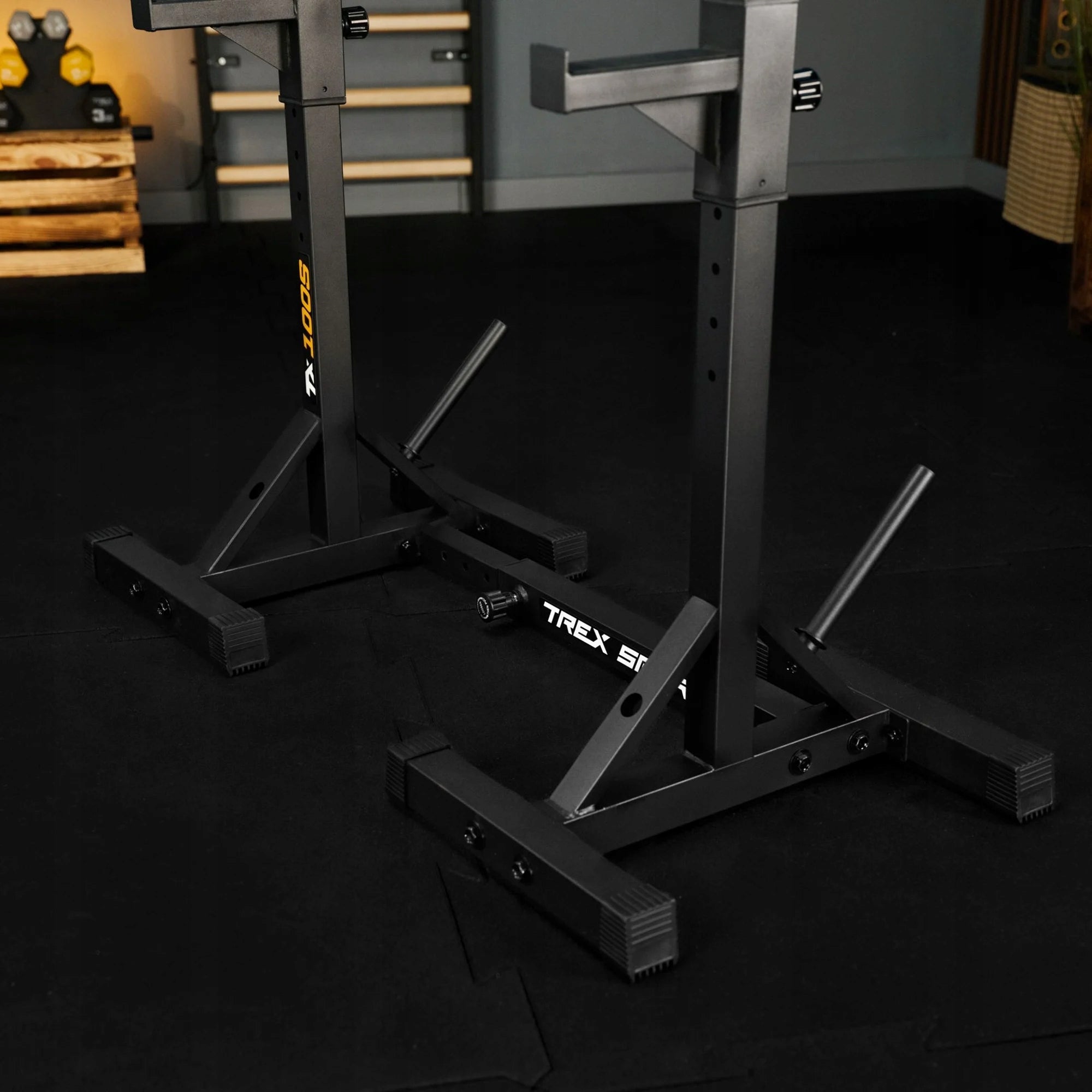 Barbell rack adjustable stands for exercise dips belaying Trex Sport Maximum rack load 250 kg