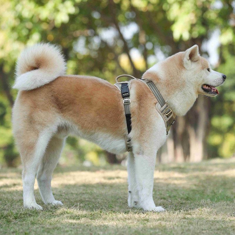 Barry King Dog harness green camo material Oxford M 40-72 cm Dog size not specified