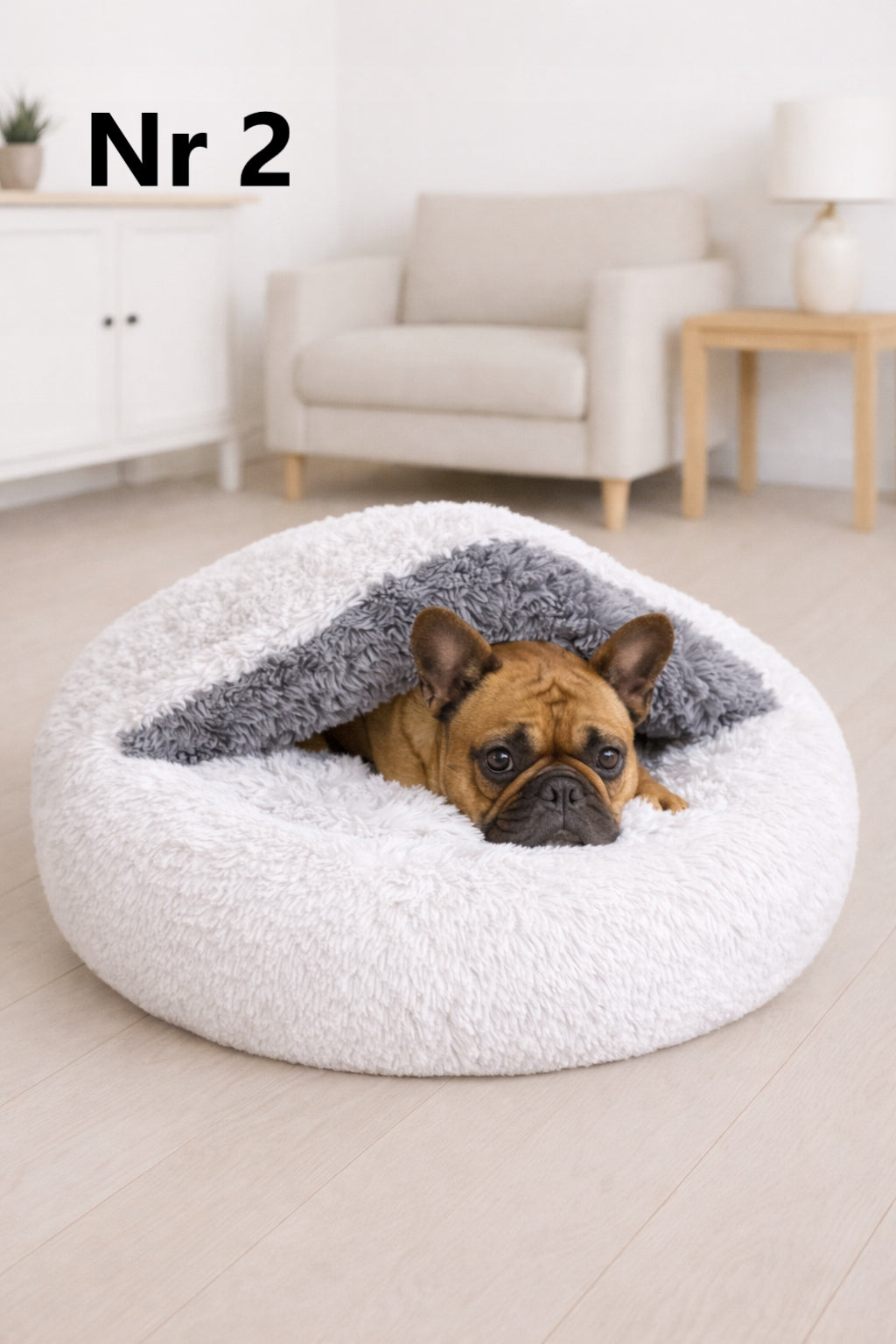 Bed Cloud Mink for Dog and Cat 65 Shaggy Removable Cover Grey Kind couch