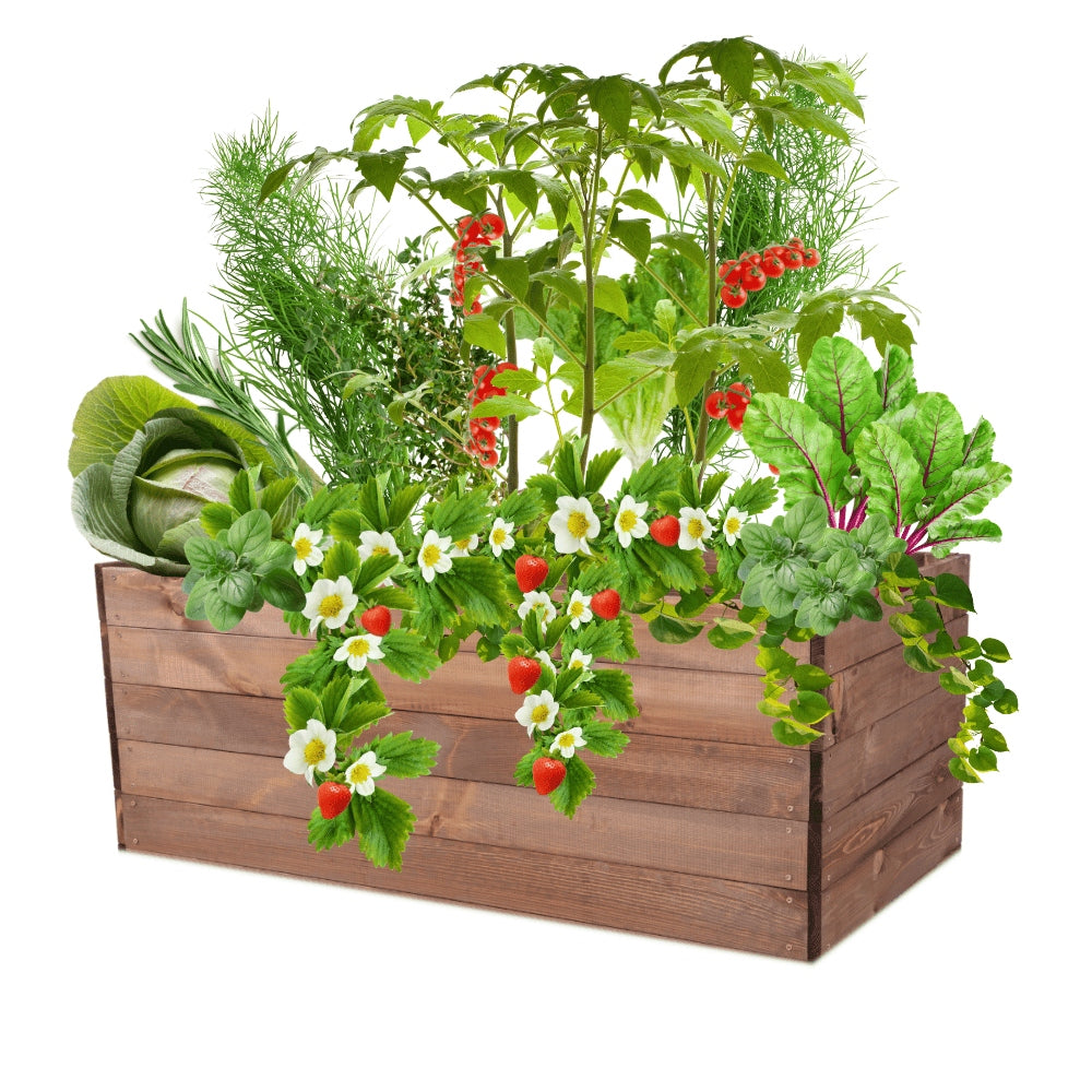 Bed raised vegetable garden chest inspection planter impregnation 45x120x80 Packaging status original