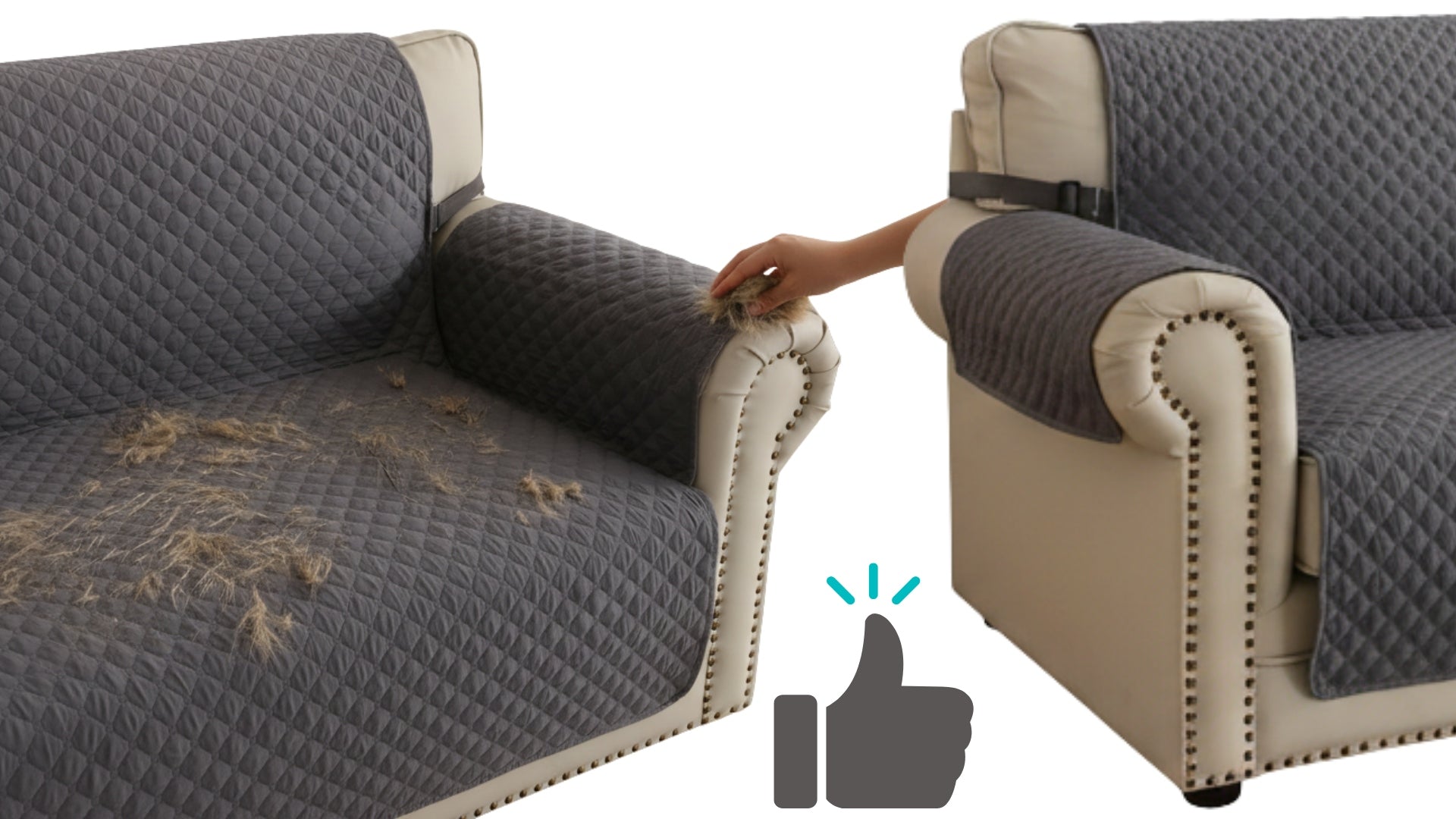 Bedspread Dog Protective Couch Non-Slip Waterproof 167x193 Model Narzuta antypoślizgowa wodoodporna WO-1530