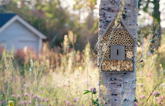 Bee insect house hotel booth large masonry Packaging status original